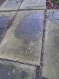 image number SGB44